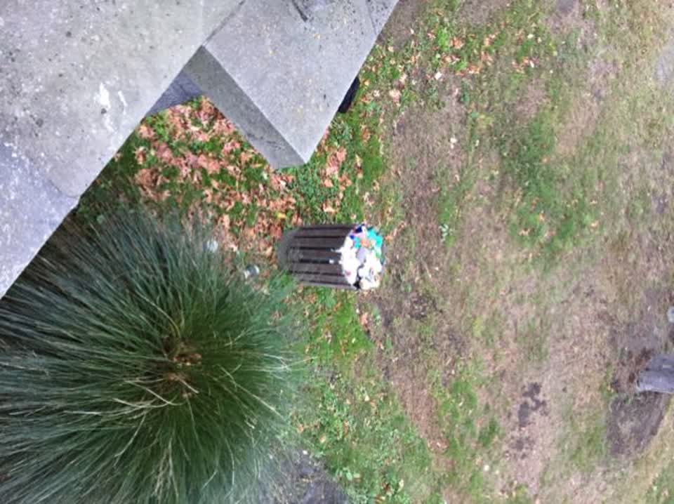The photograph attached to this parks report
