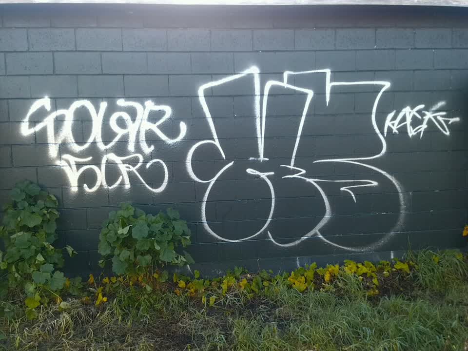The photograph attached to this graffiti report