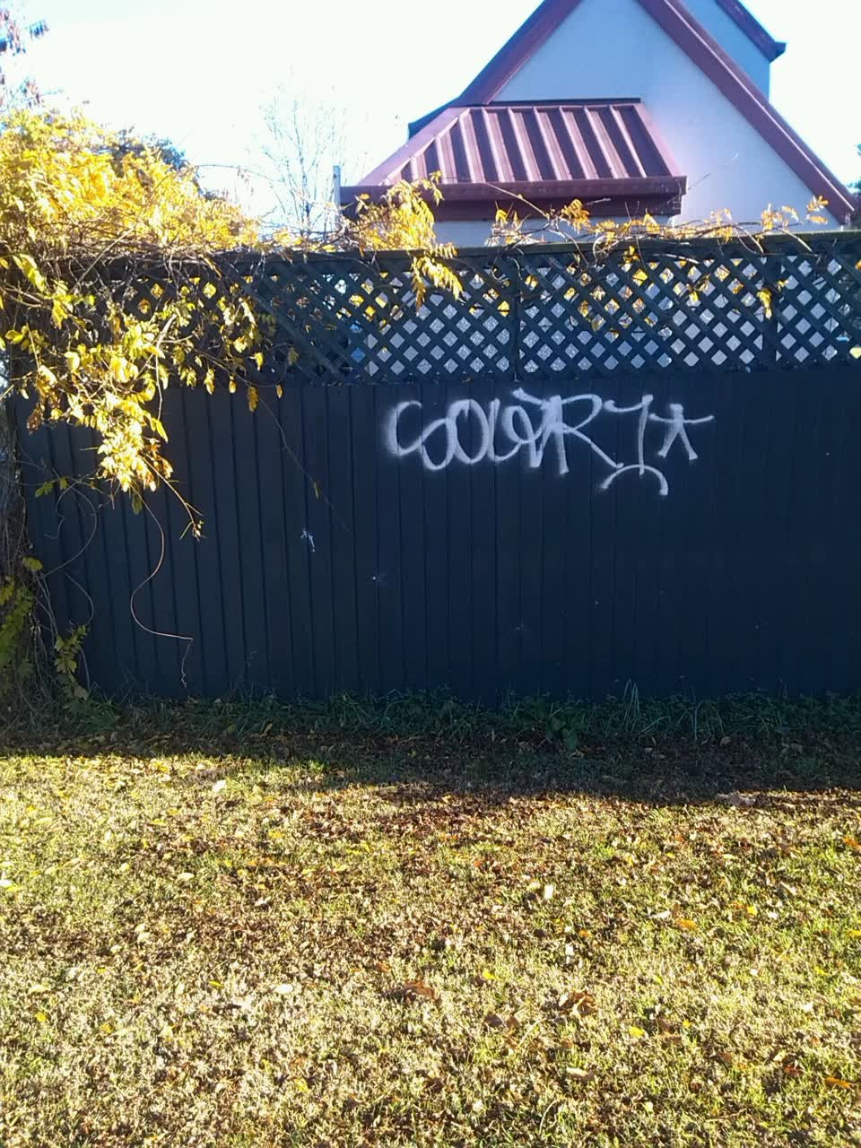 The photograph attached to this graffiti report
