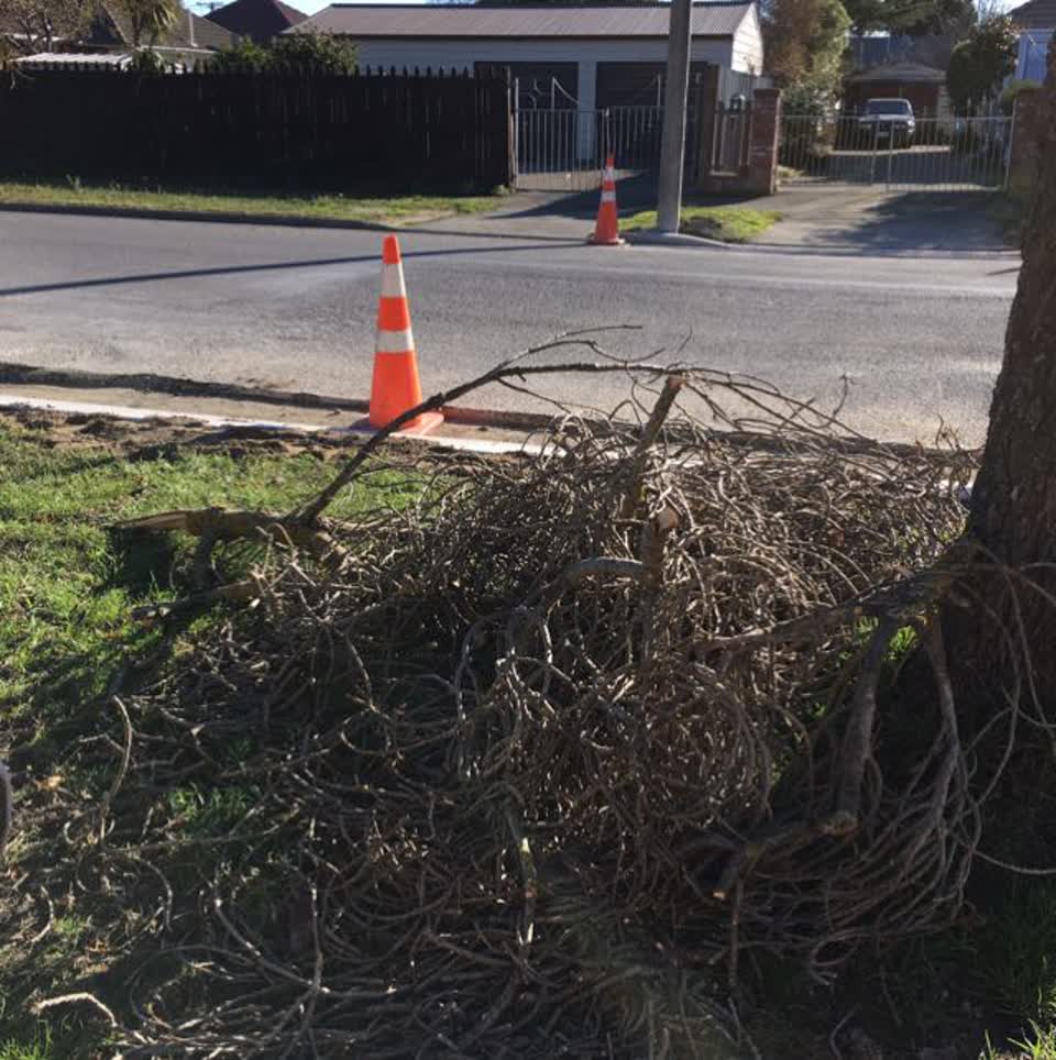 The photograph attached to this roading/streets report