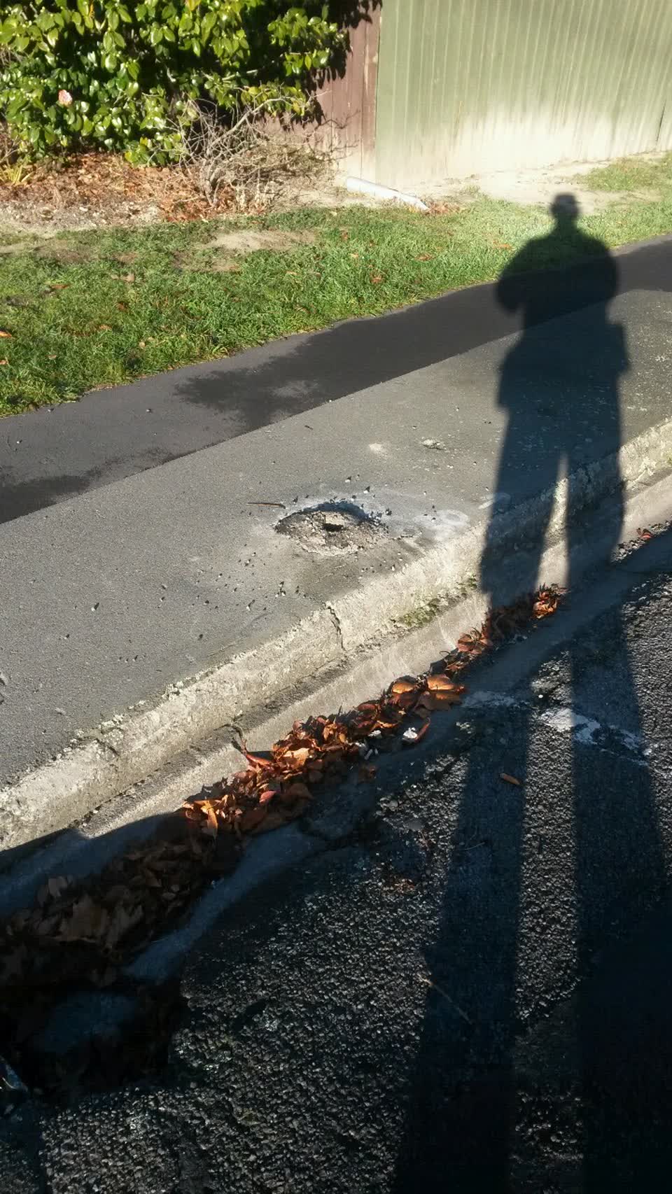 The photograph attached to this parks report