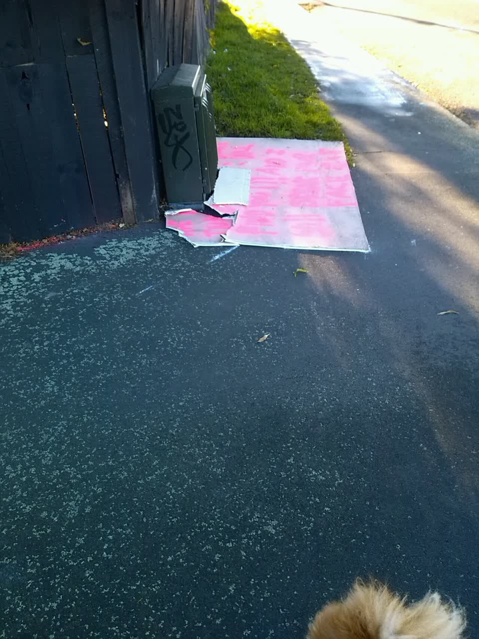 The photograph attached to this rubbish/recycling report