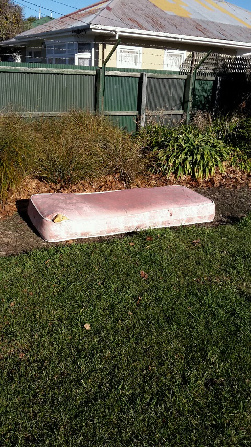 The photograph attached to this parks report