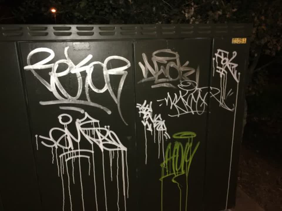 The photograph attached to this graffiti report