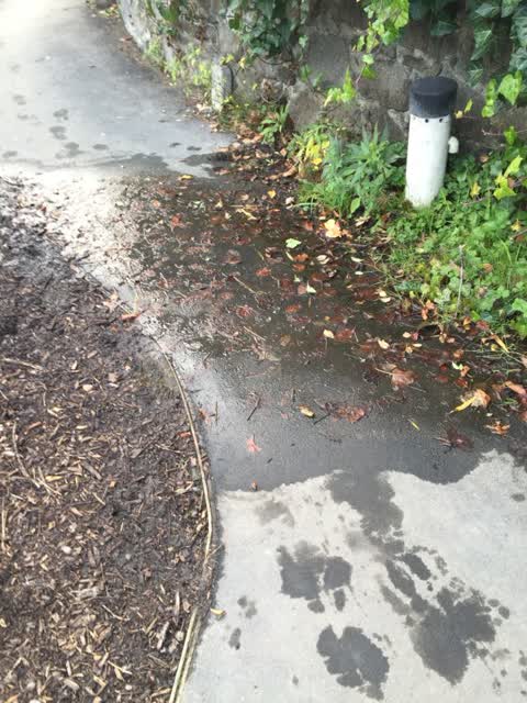 Roading/Streets, a report photo