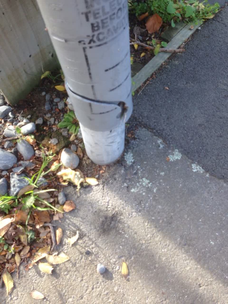 The photograph attached to this roading/streets report