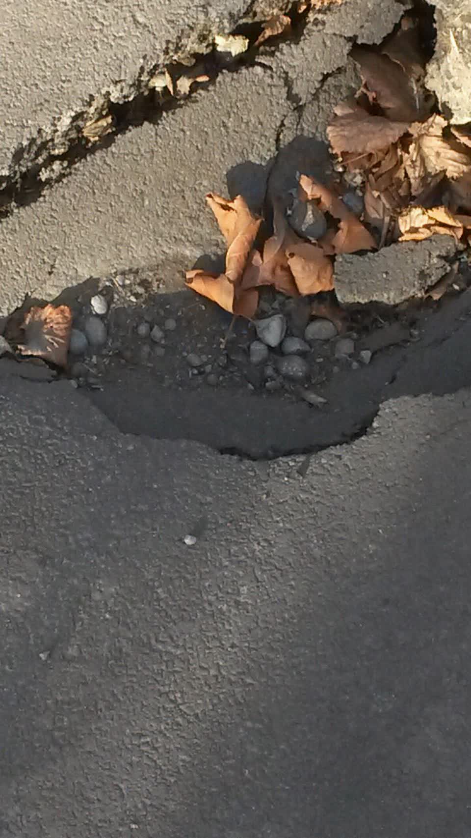 The photograph attached to this roading/streets report