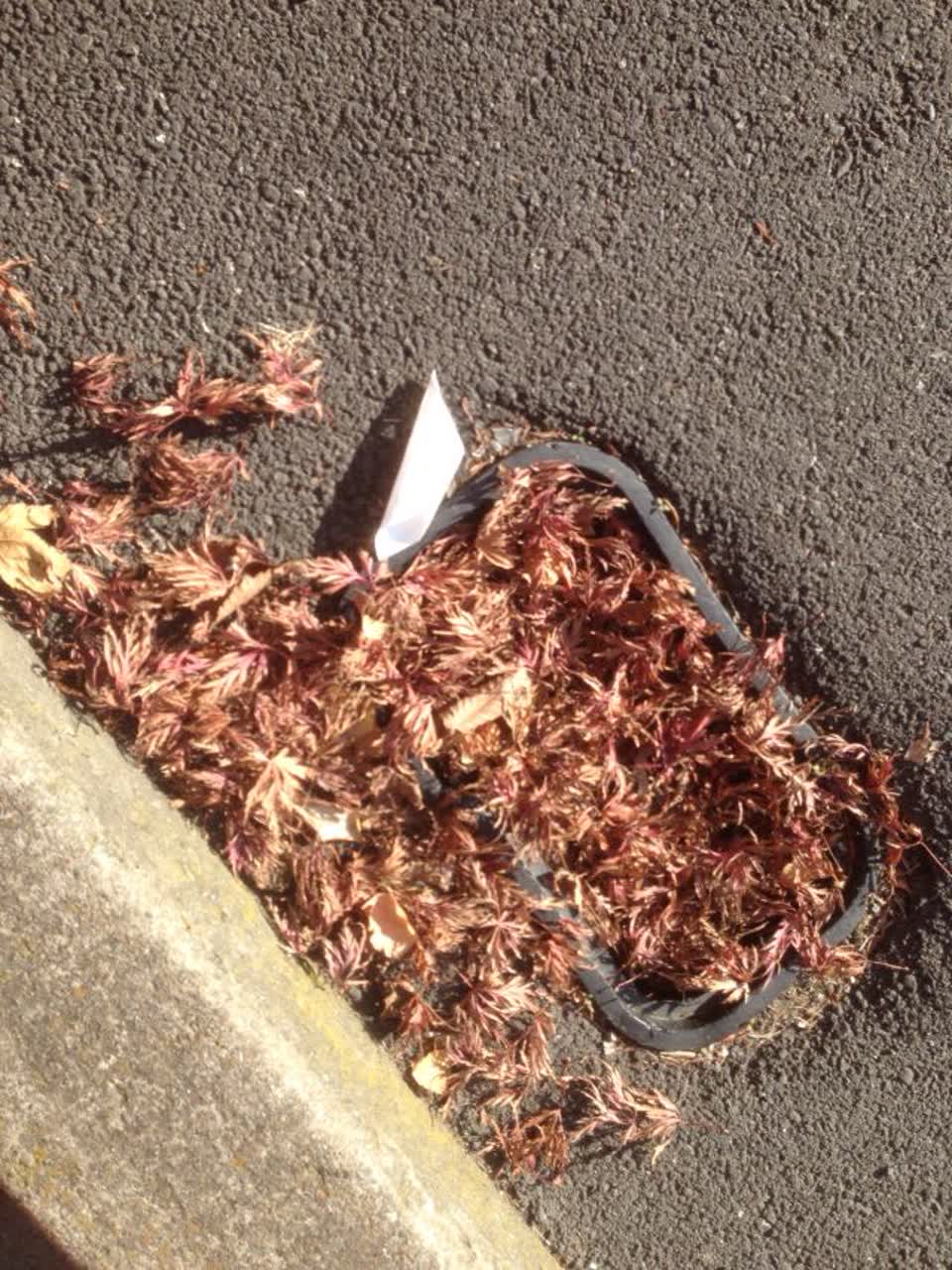 The photograph attached to this wastewater/stormwater report