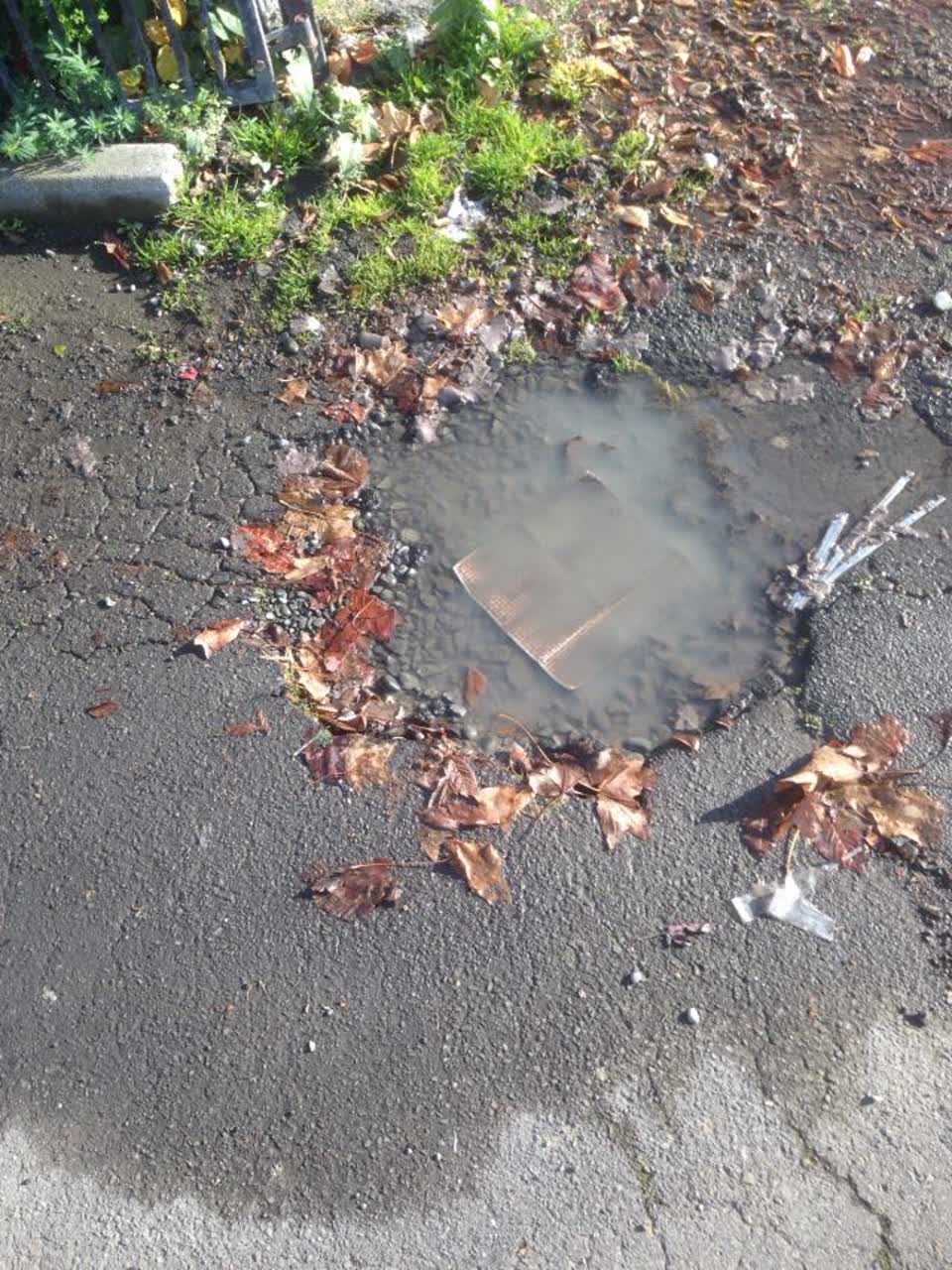 The photograph attached to this wastewater/stormwater report