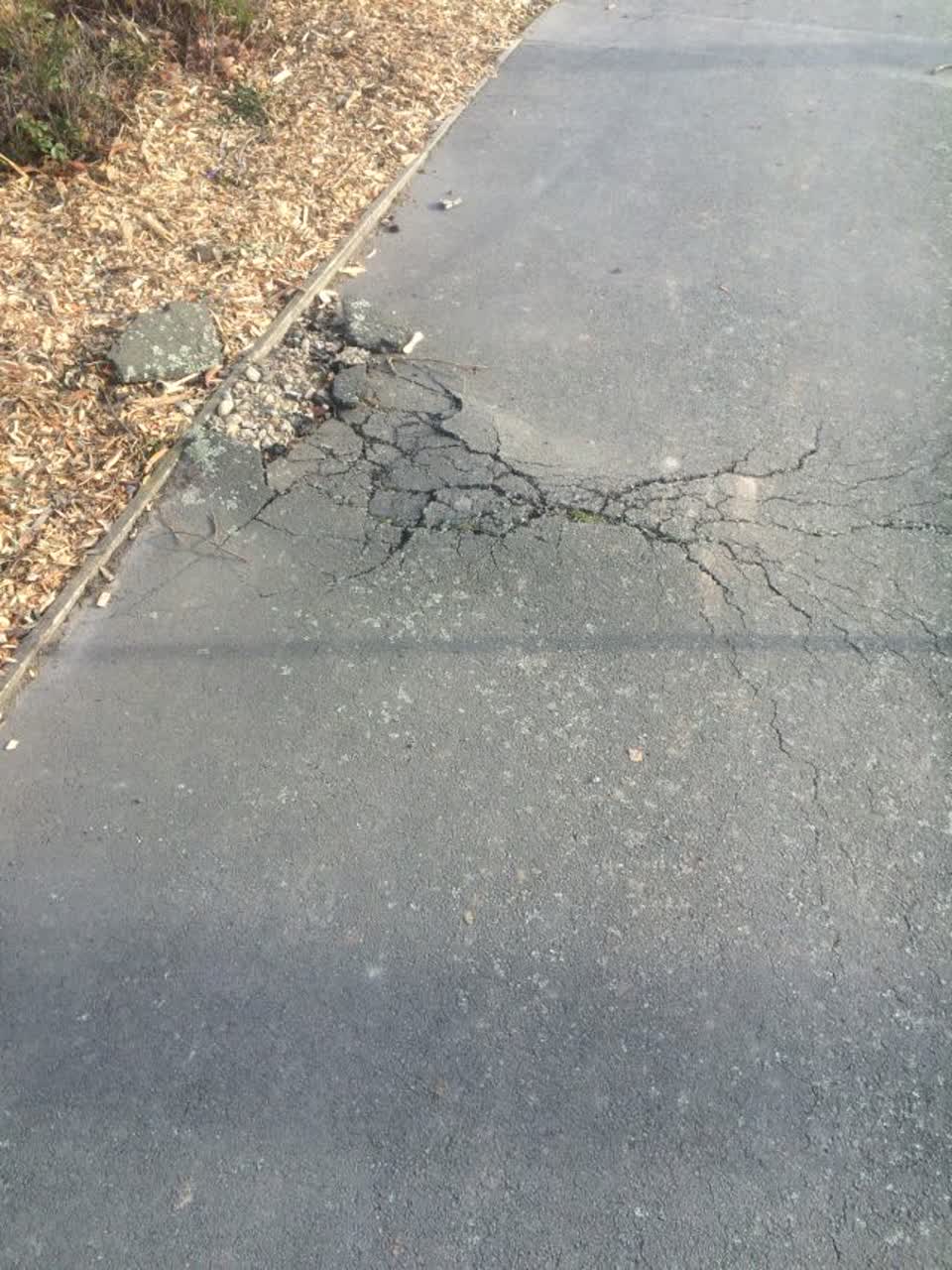 The photograph attached to this roading/streets report