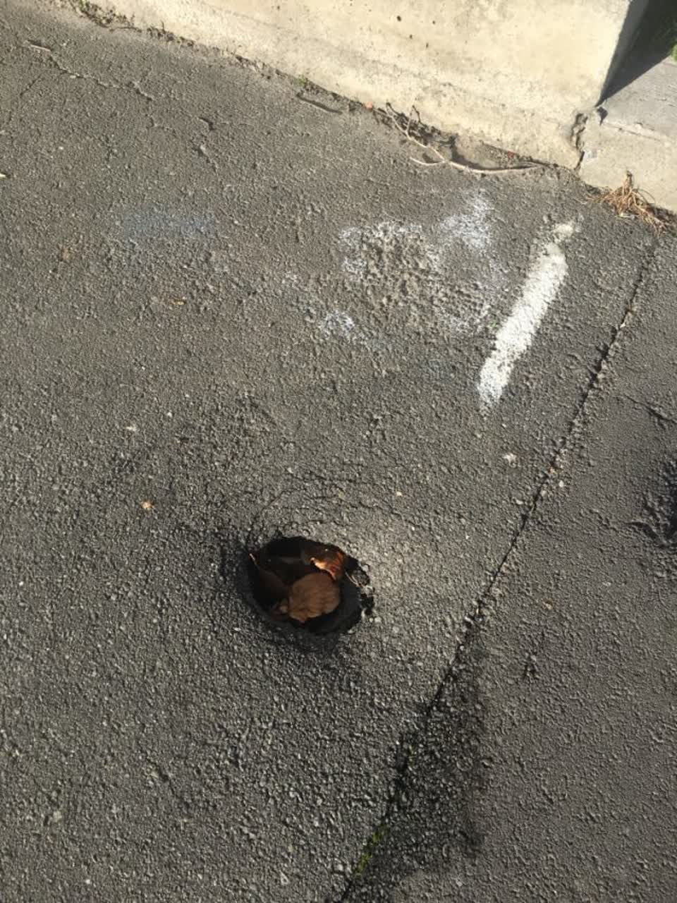 The photograph attached to this roading/streets report