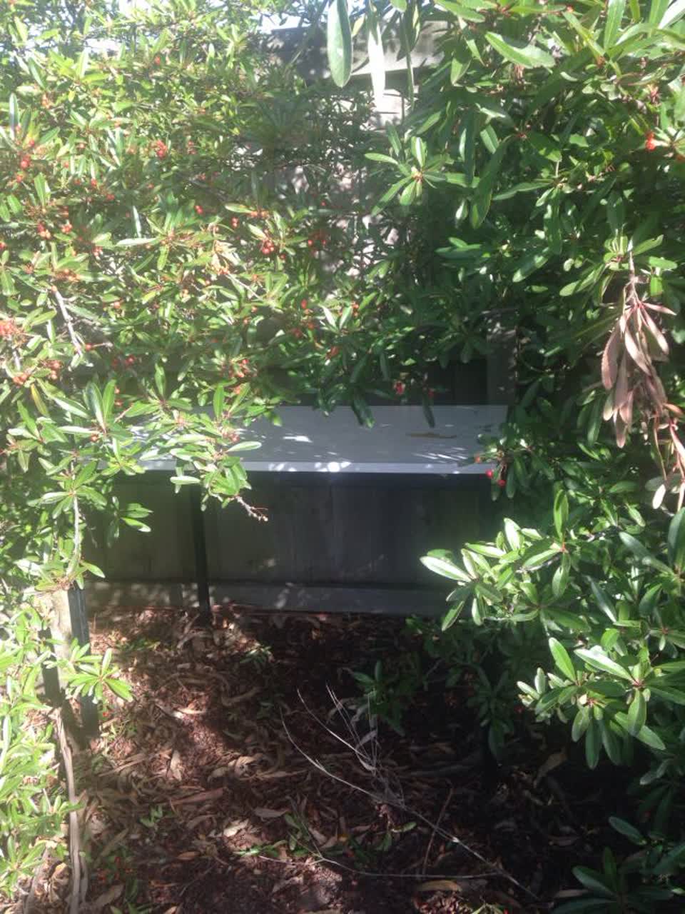 The photograph attached to this parks report