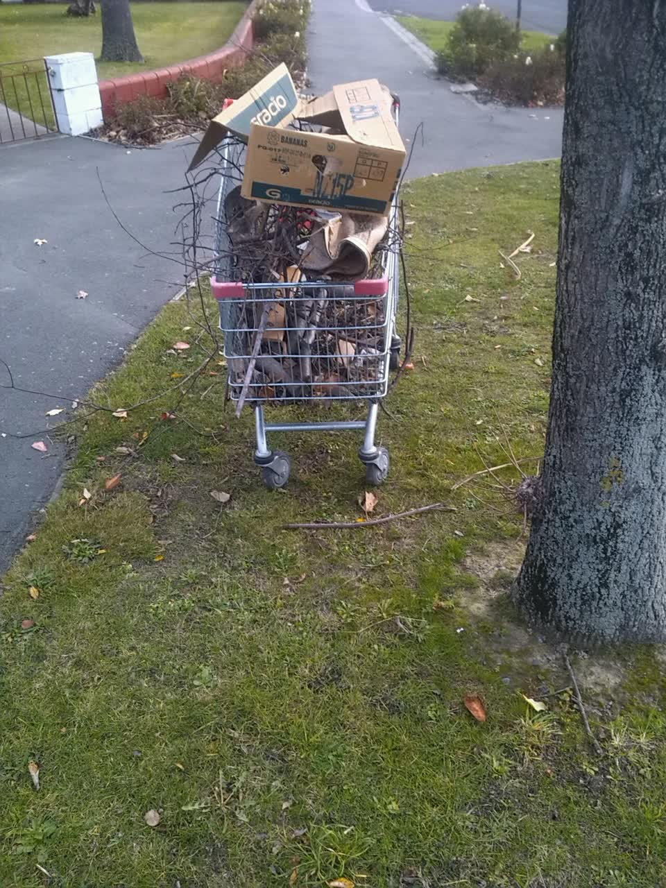 The photograph attached to this rubbish/recycling report