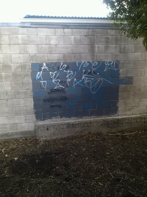 Graffiti, a report photo