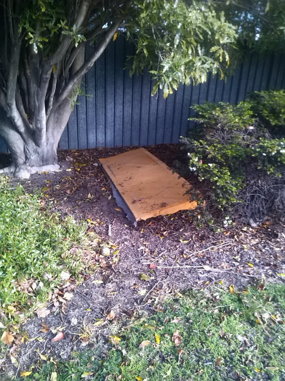 The photograph attached to this parks report