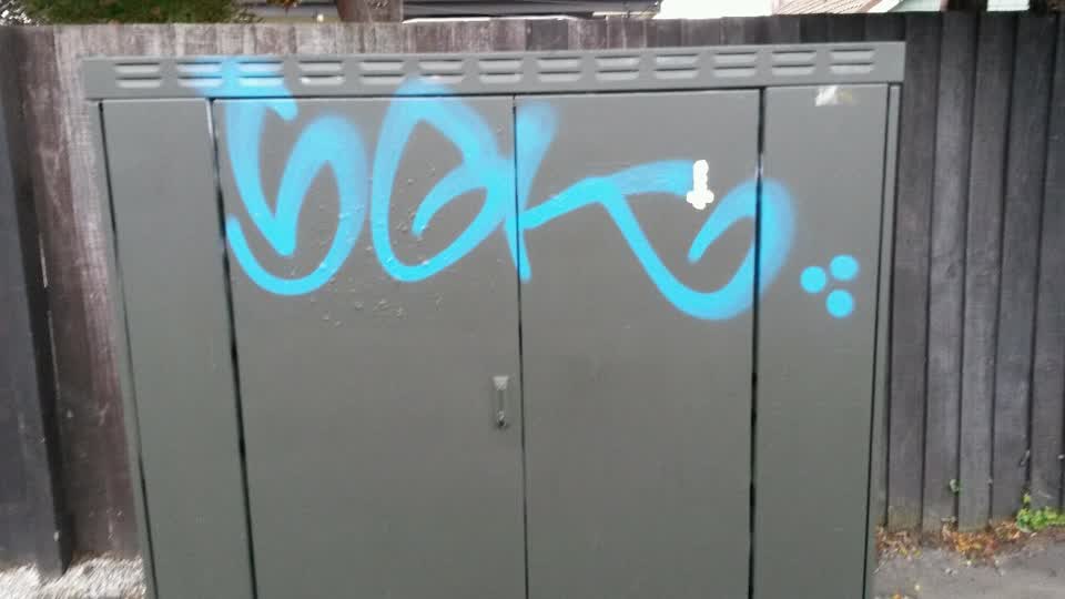 The photograph attached to this graffiti report