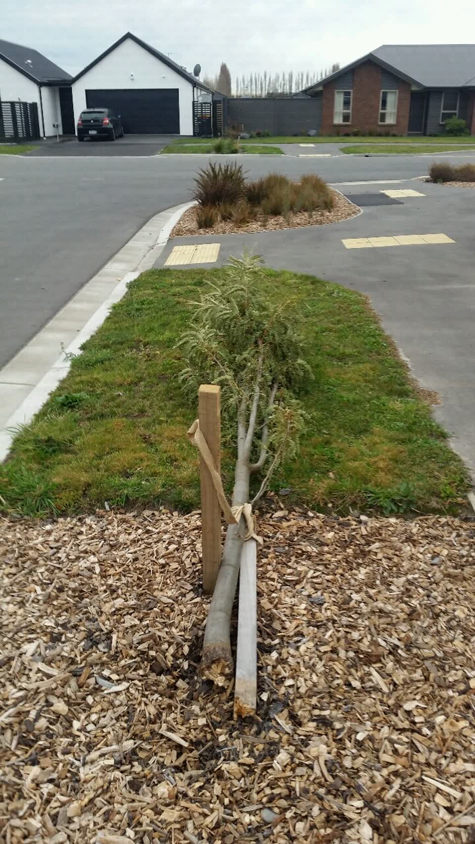 The photograph attached to this parks report