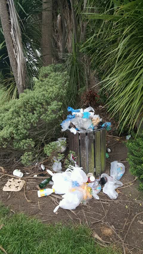 Rubbish/Recycling, a report photo