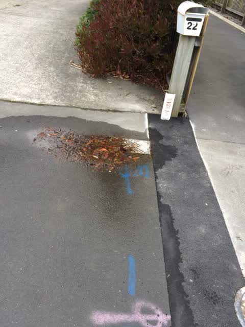 Roading/Streets, a report photo