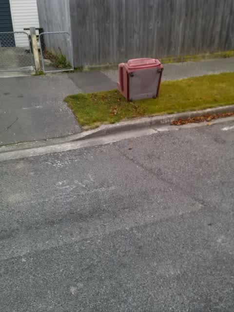 Rubbish/Recycling, a report photo