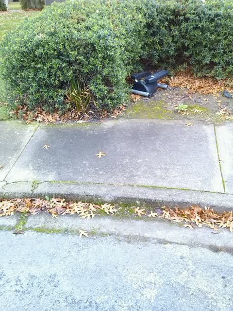 Rubbish/Recycling, a report photo