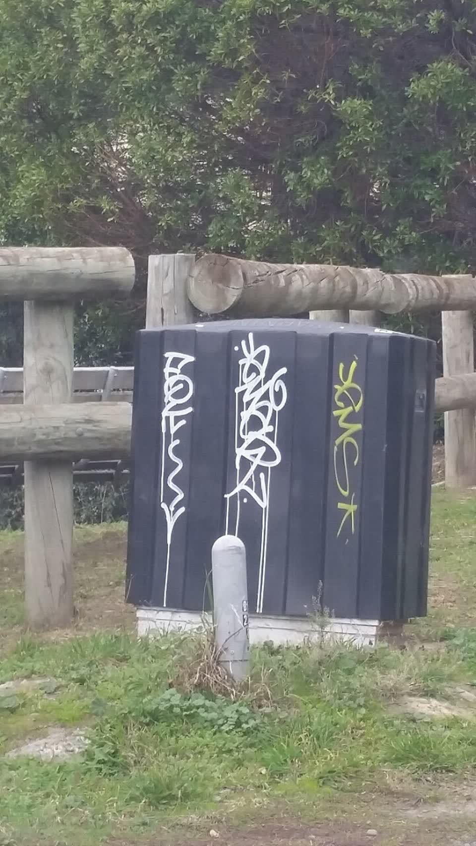 The photograph attached to this graffiti report