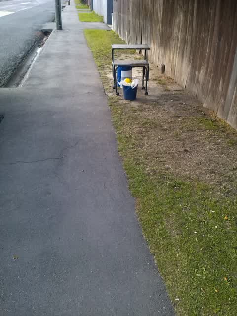 Rubbish/Recycling, a report photo