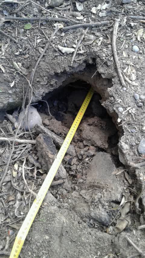 Wastewater/Stormwater, a report photo