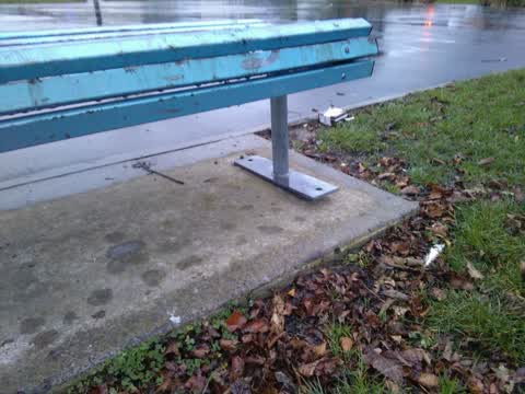 Parks — a report photo