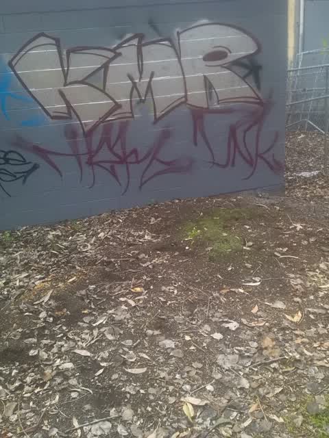 Graffiti, a report photo
