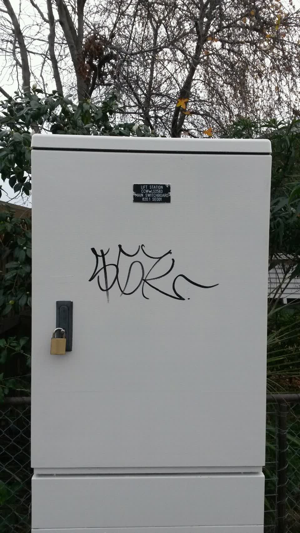 The photograph attached to this graffiti report