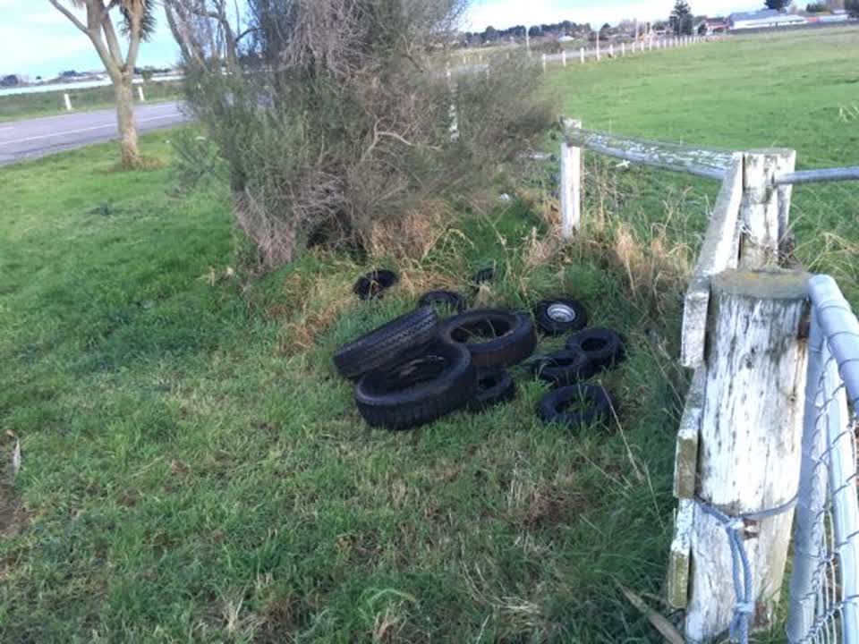 The photograph attached to this rubbish/recycling report