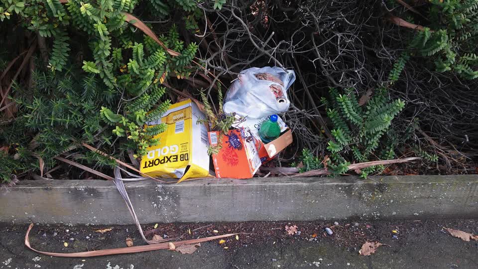The photograph attached to this rubbish/recycling report
