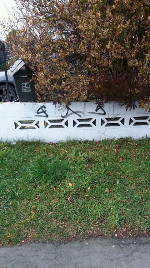 Graffiti, a report photo