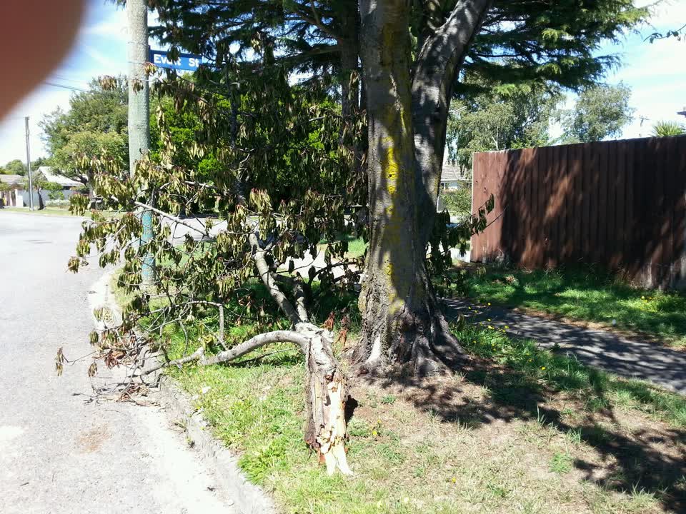 The photograph attached to this roading/streets report