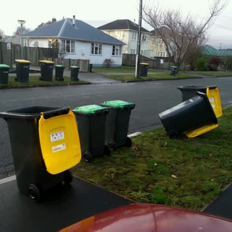 Rubbish/Recycling, a report photo
