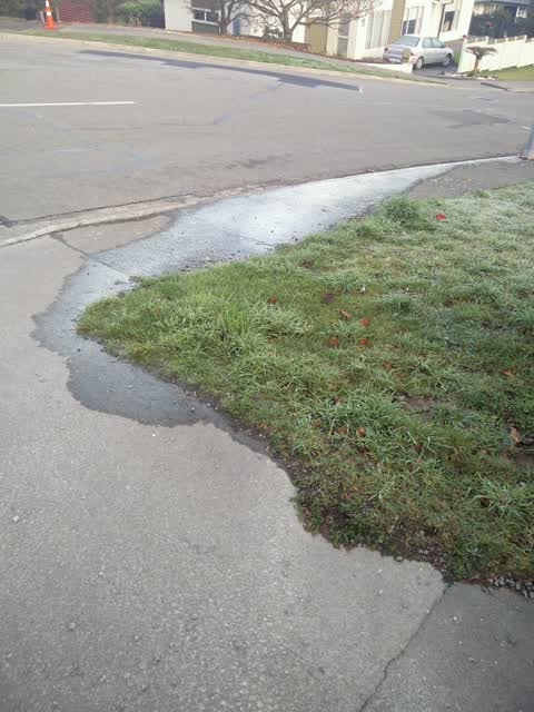 Water Supply, a report photo