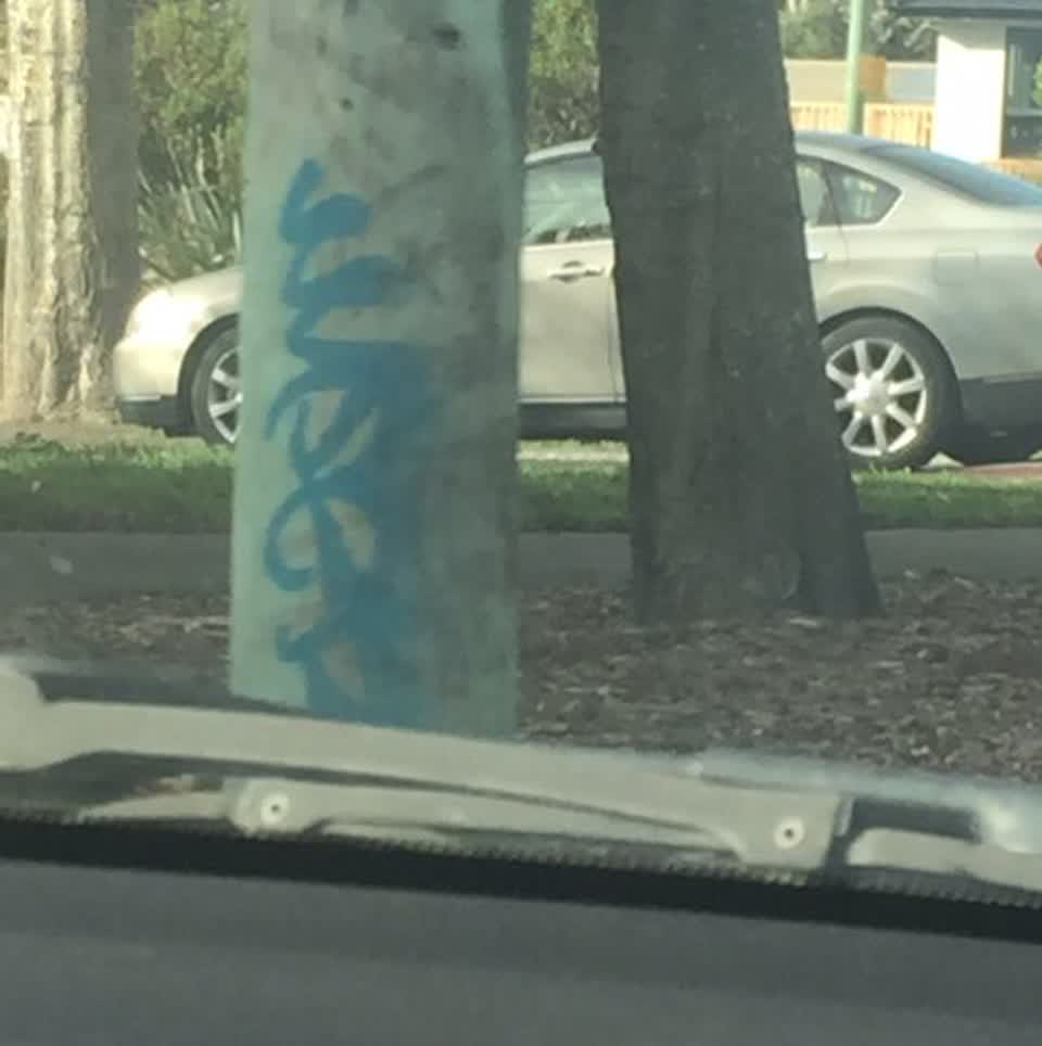 The photograph attached to this graffiti report