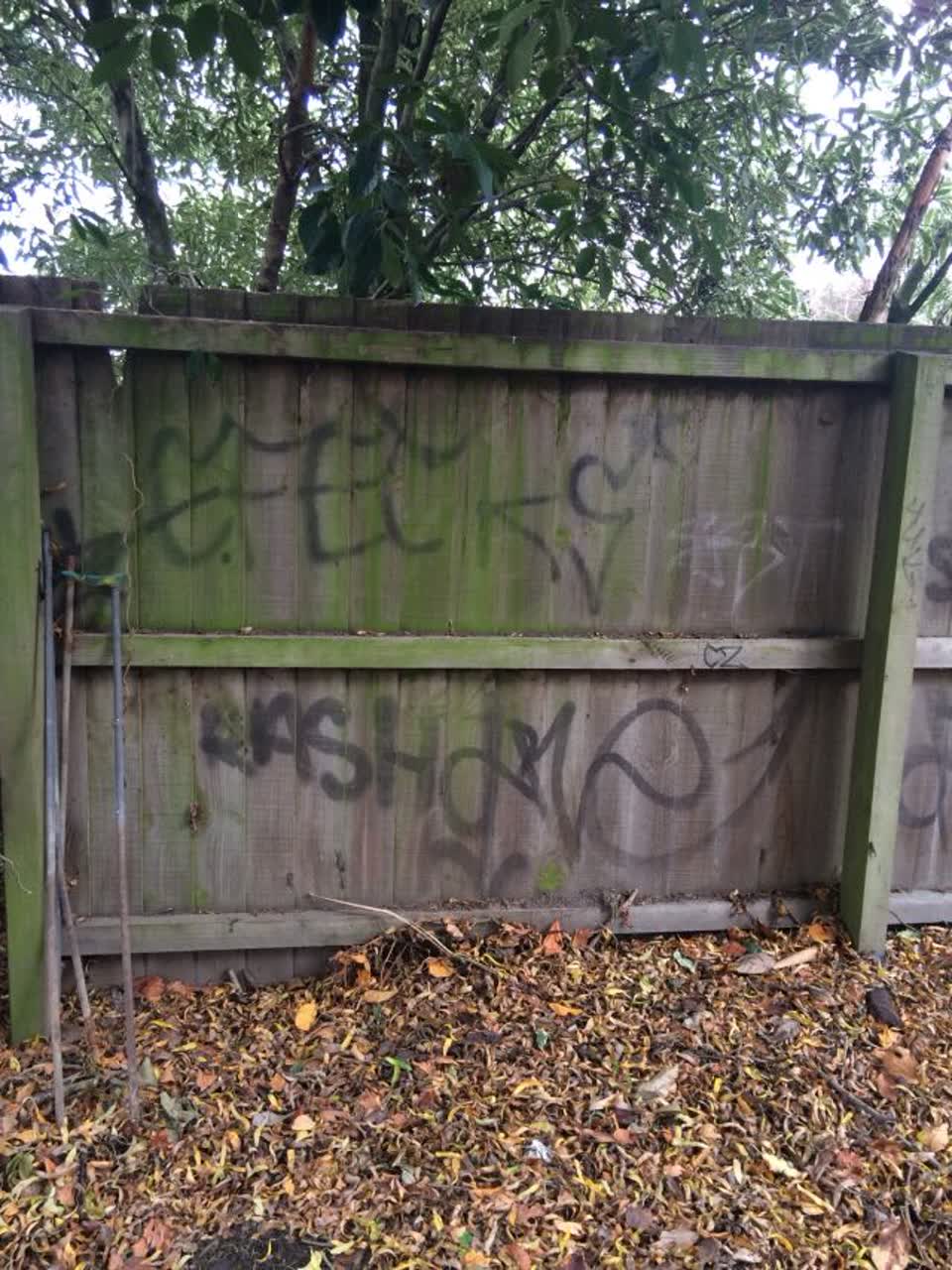 The photograph attached to this graffiti report
