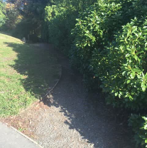 Parks, a report photo