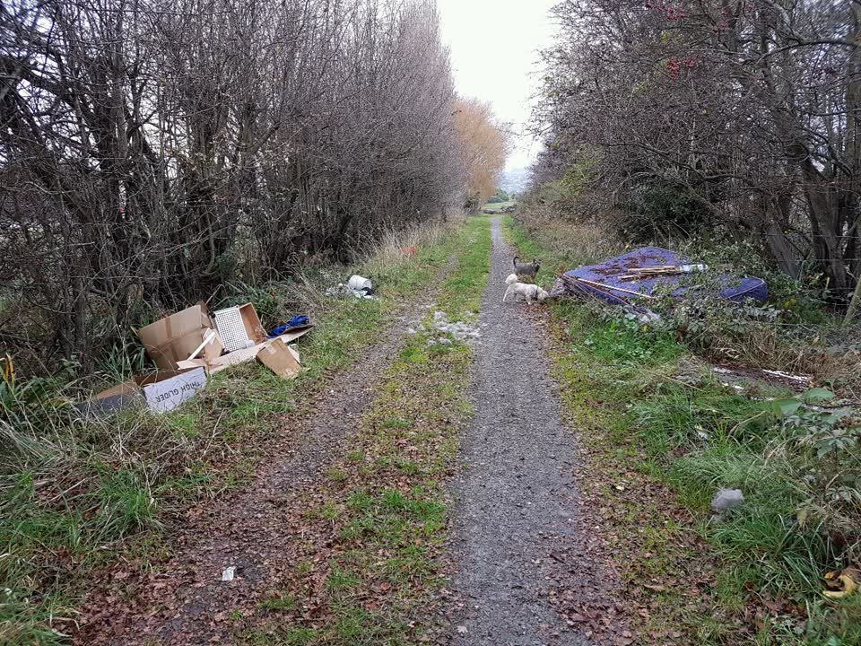 The photograph attached to this rubbish/recycling report