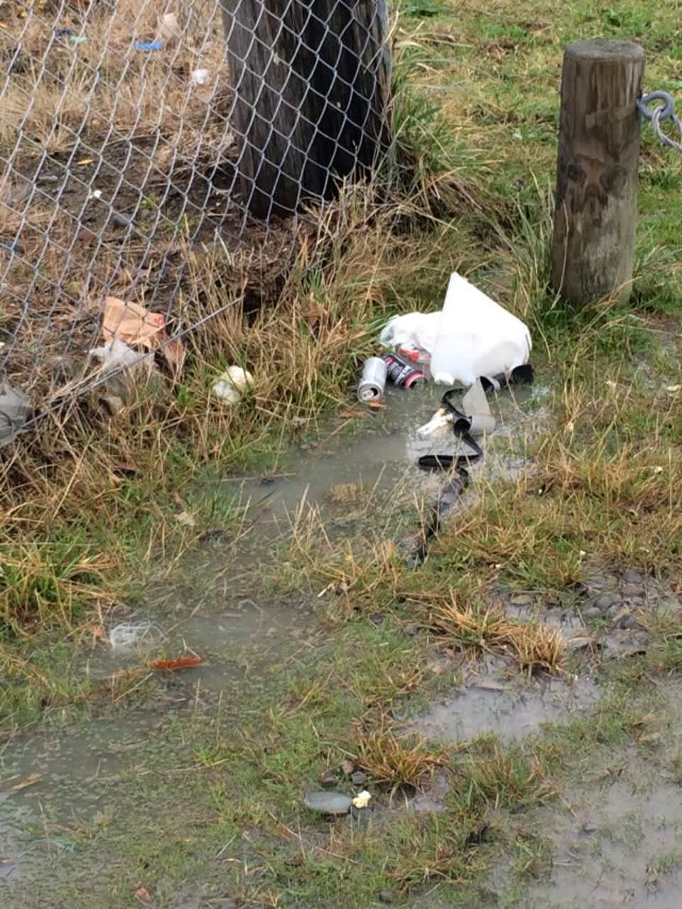The photograph attached to this rubbish/recycling report