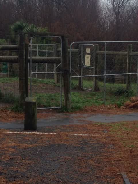 Parks, a report photo