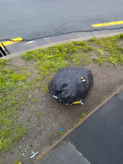 Rubbish/Recycling, a report photo