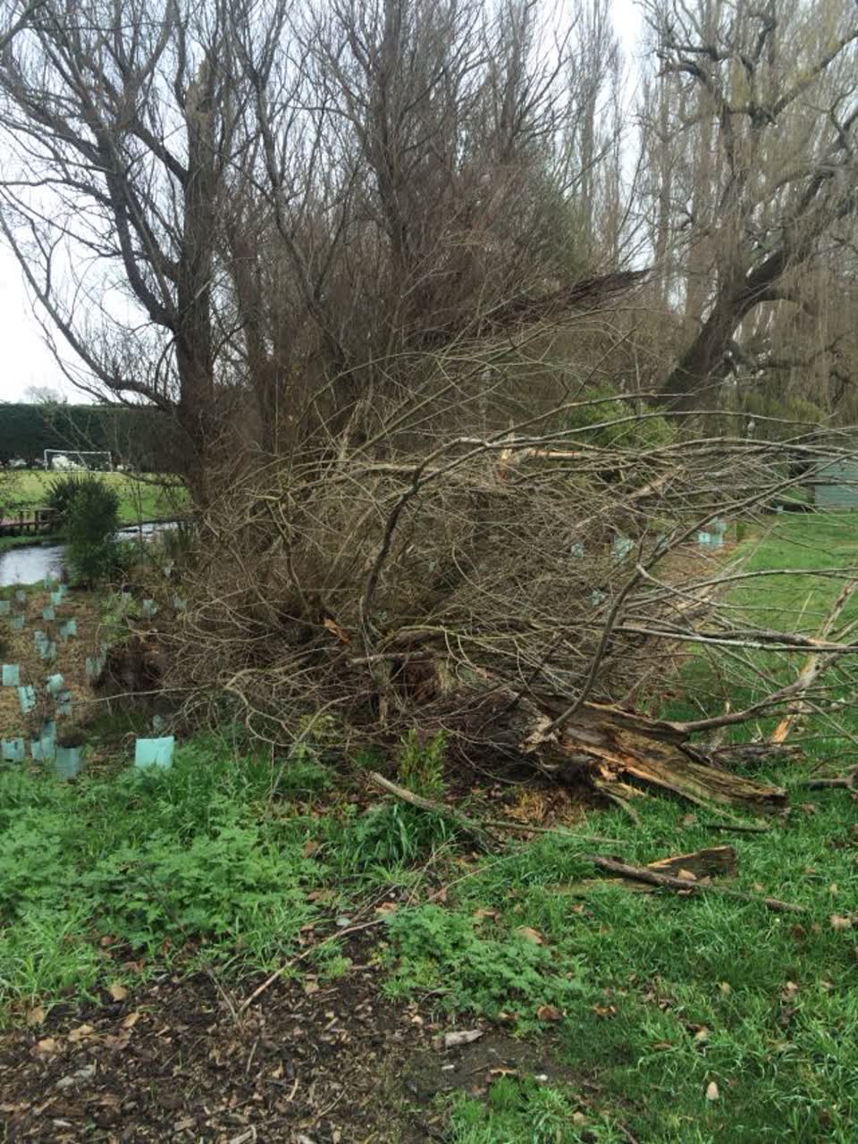 The photograph attached to this parks report