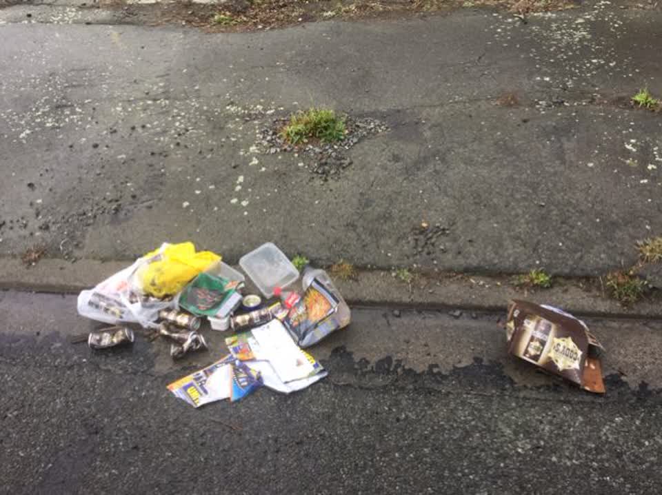 The photograph attached to this rubbish/recycling report