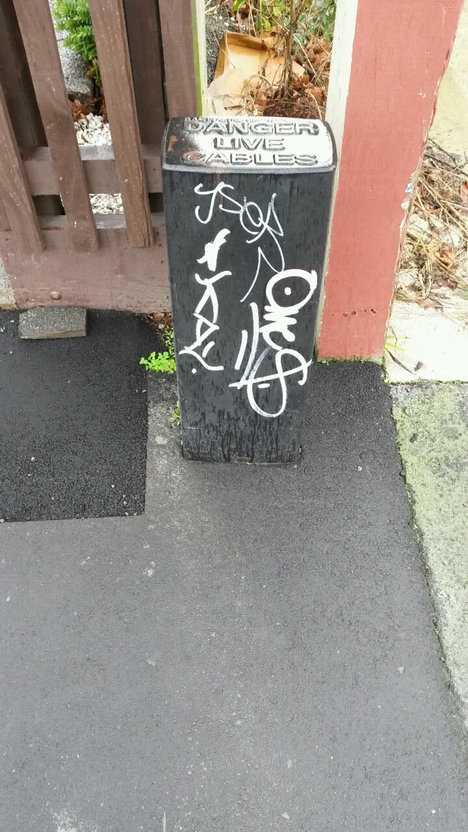 The photograph attached to this graffiti report