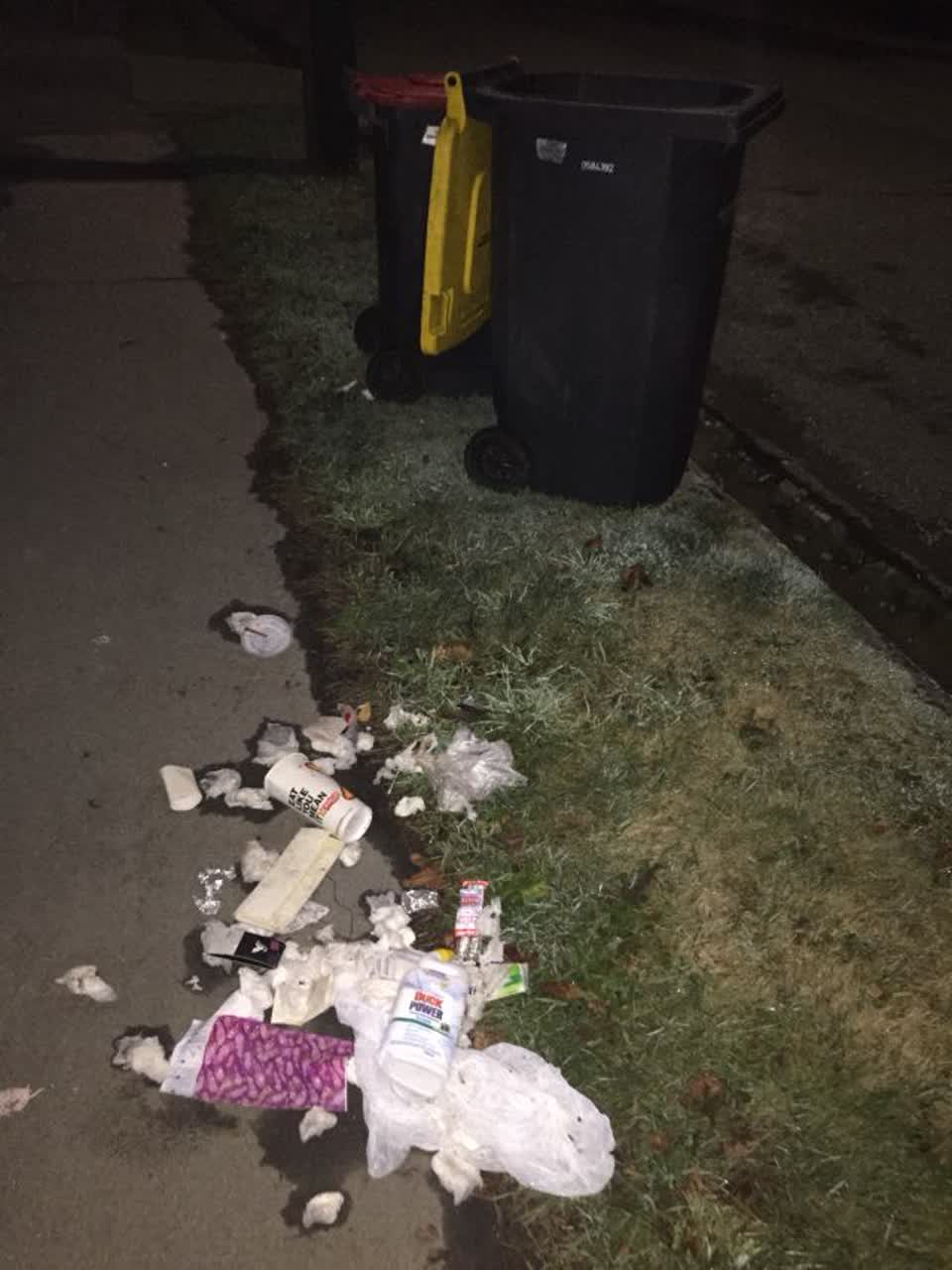 The photograph attached to this rubbish/recycling report