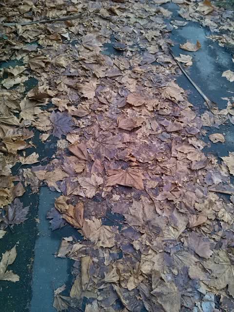 Roading/Streets, a report photo