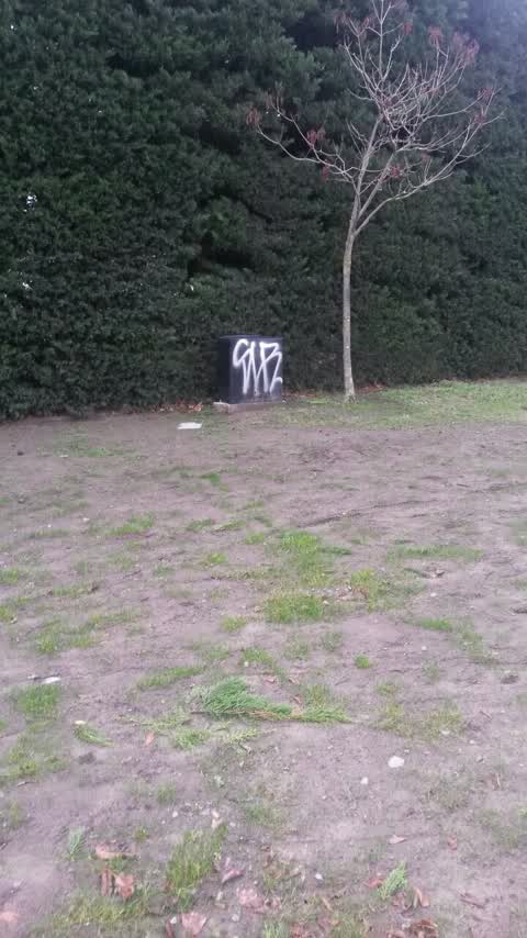 Graffiti — a report photo